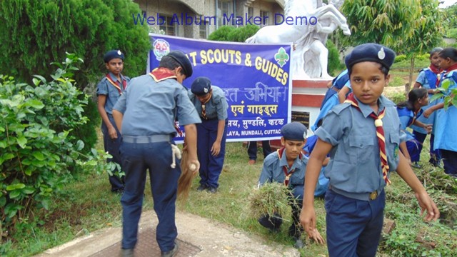 Scouts and Guides