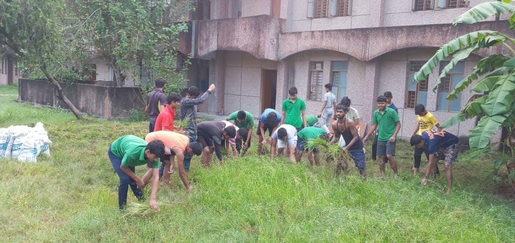 हरित कोर    Green Corps
