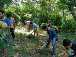 Other Activities