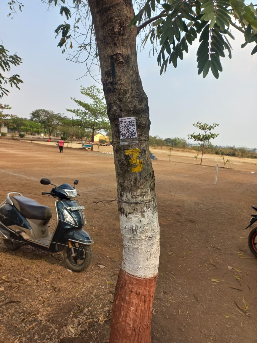 QR code for each planted tree in campus of JNV Nasik