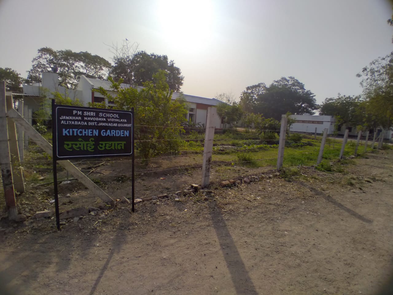 MESS GARDEN