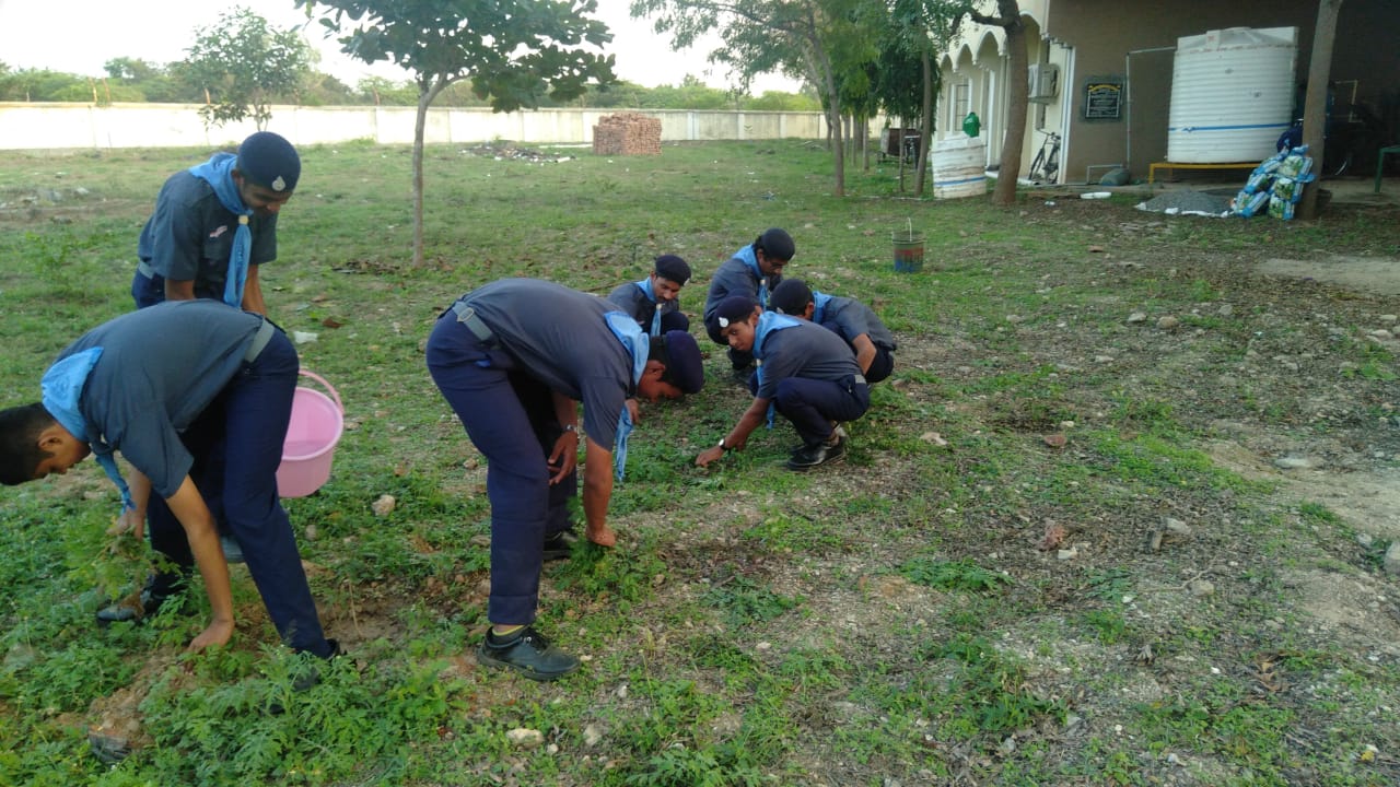 Scouts and Guides